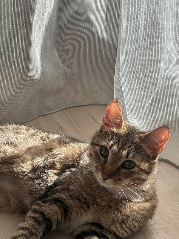 IMG_20240410_000055_830