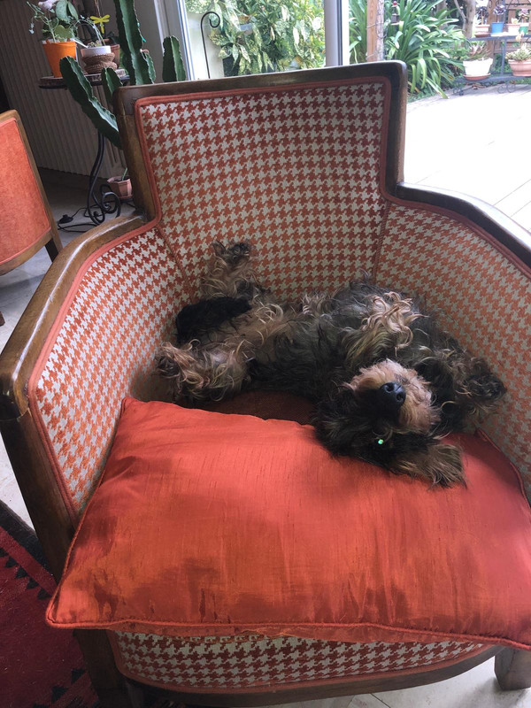 [Image: IMG-20250521-WA0001.jpg]