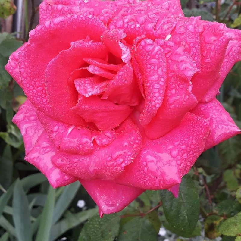 [Image: received-317131919541899.jpg]