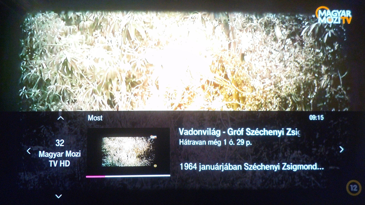 Magyar-Mozi-TVHD230704.jpg