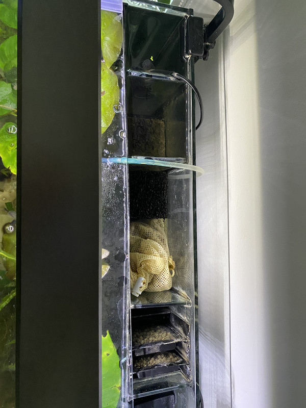 How To Set Up And Use An Aqua One Canister Filter