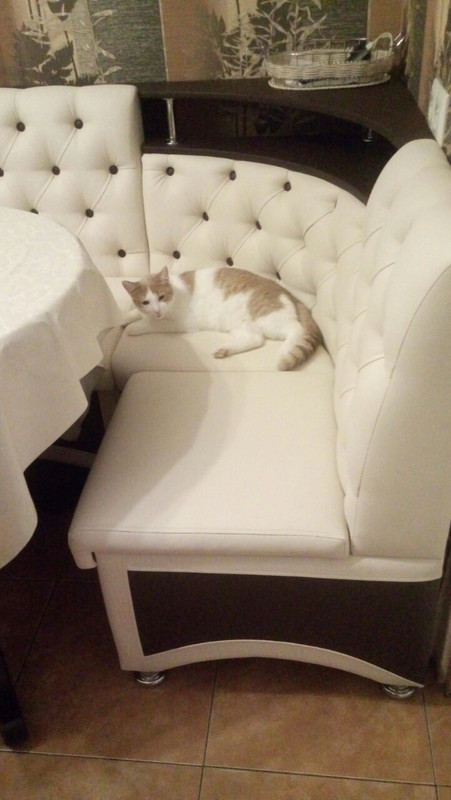 Буся у ?анаты