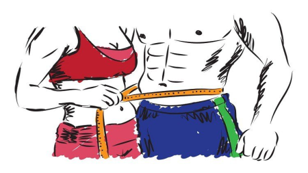 Udemy - Fitness Training