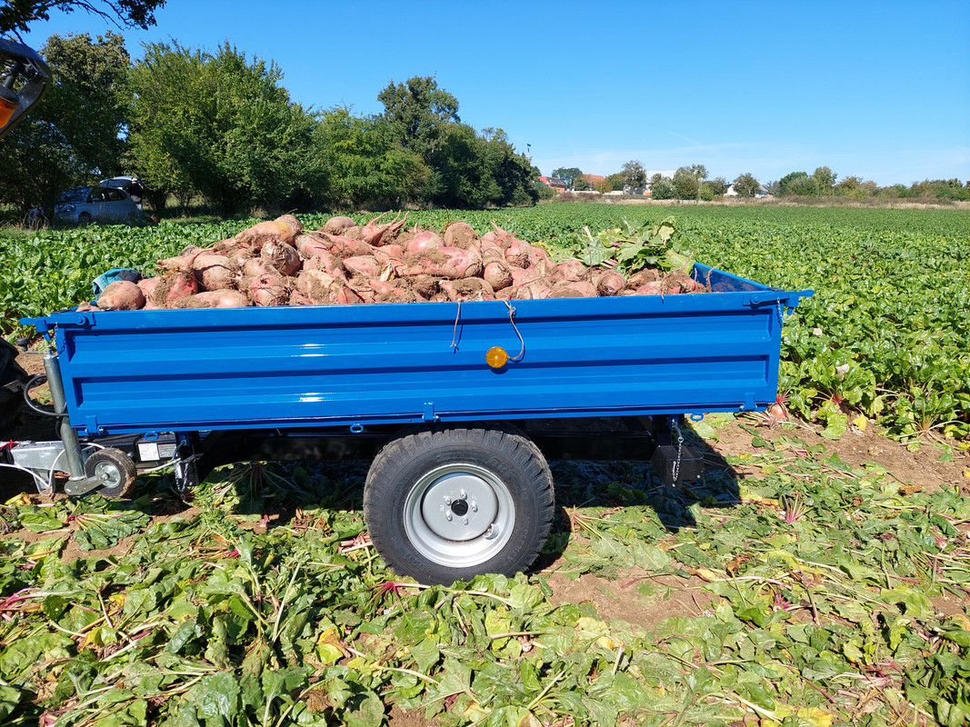 20250920_115943_090907