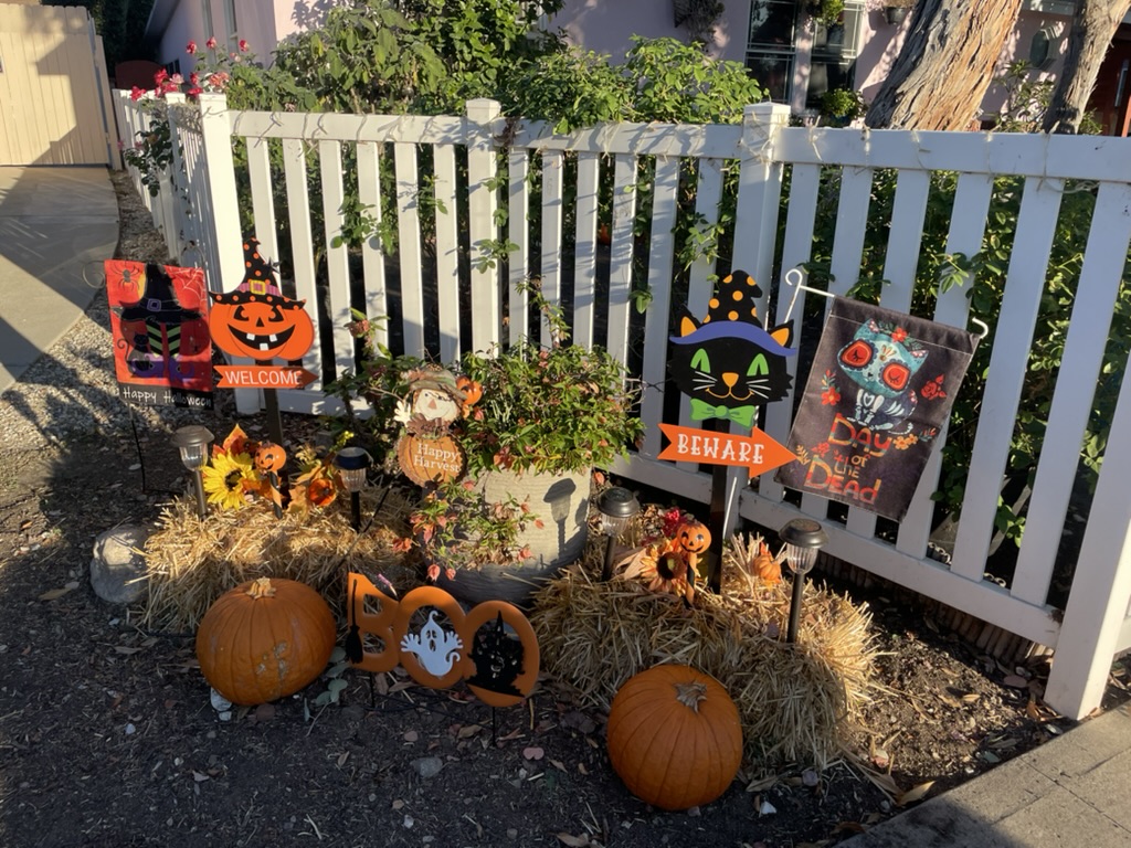 1-EF98207-1-D1-A-4097-9-F89-3-CB59-B98-E366-1-105-c