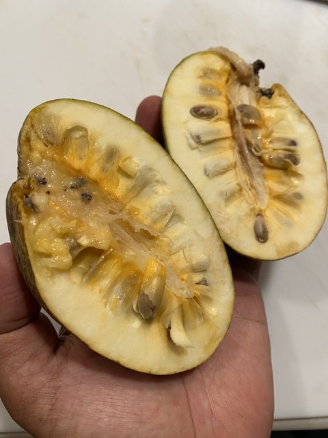 F84BE067-9928-4255-88A9-EE031F1C71A4