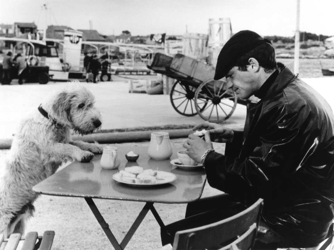 jean_paul_belmondo_c10