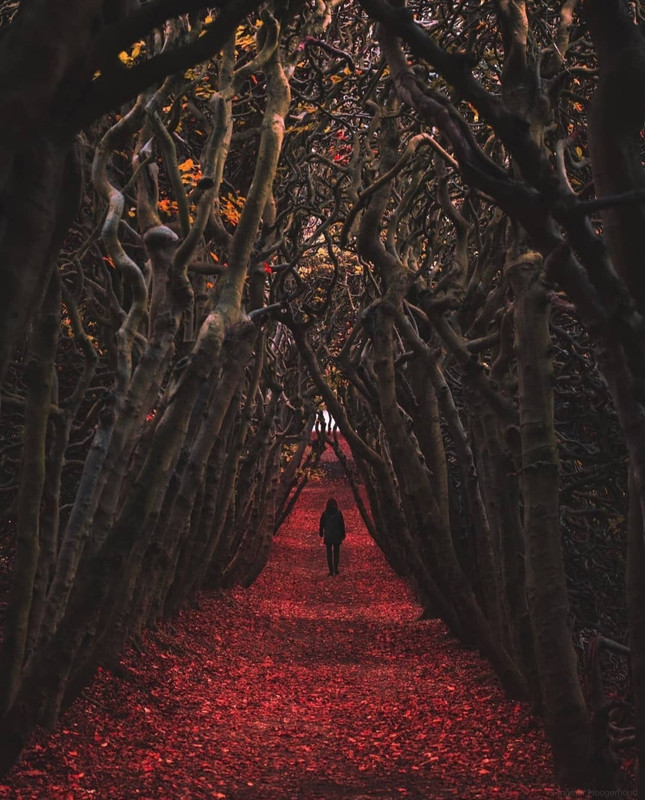 Screenshot_20231207_154217_Instagram