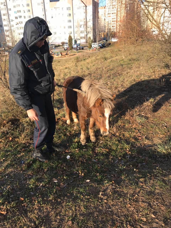 3126229F-F226-4493-9250-959F15D2D8A0