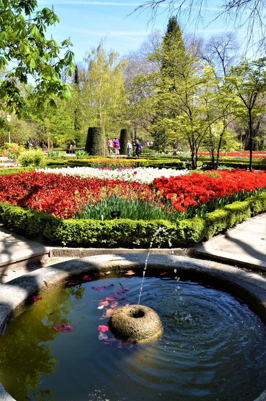 JARDIN BOTANICO-13-4-2013-MADRID - Paseando por España-1991/2017 (25)