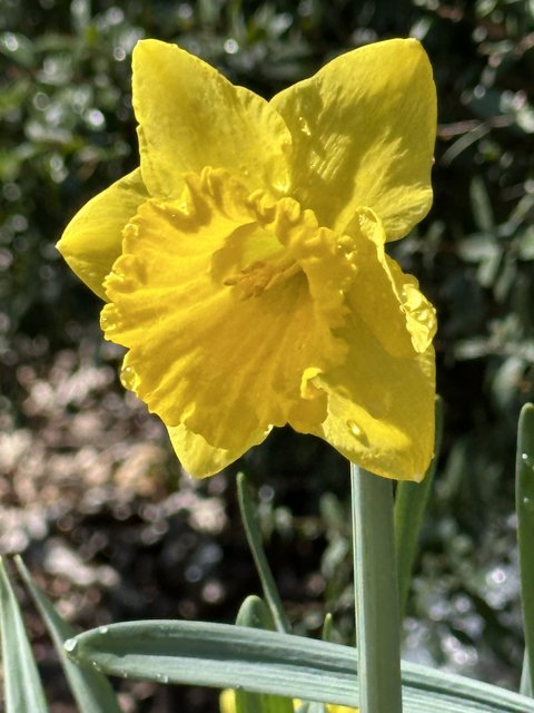 [Image: IMG-4896.jpg]