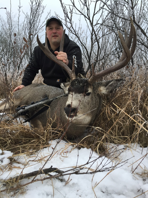 7451D2FF-8D03-4344-AC6E-8BB3A7A18A64