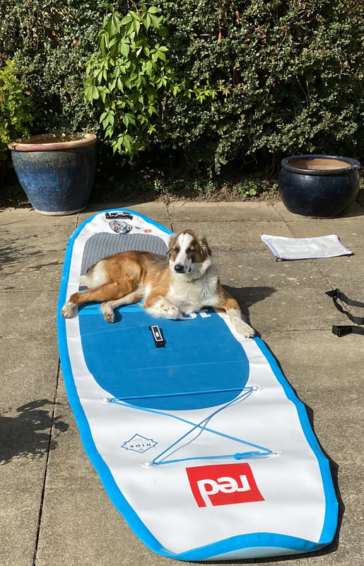 11D2D1D5-993B-4BDD-8E7A-3731C0D32AEA