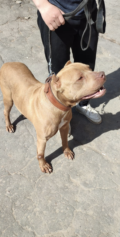 Снимок экрана 2024-04-30 в 23.00.59