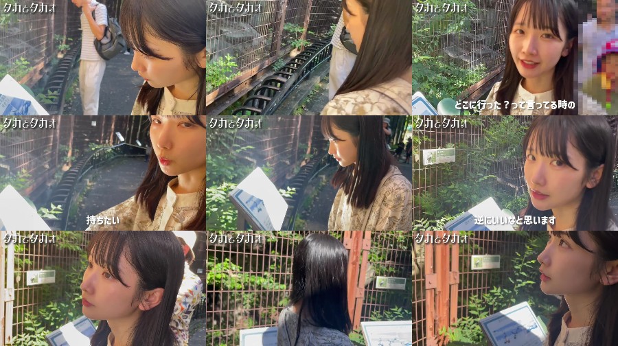 高雄さやか「サヤゴロウどうぶつ王国」