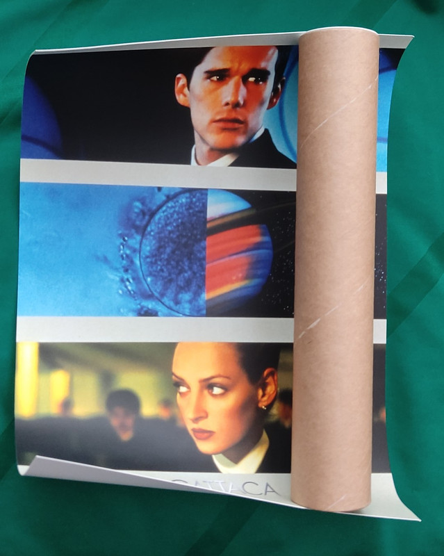 IMG_20210506_144419 (Grande)