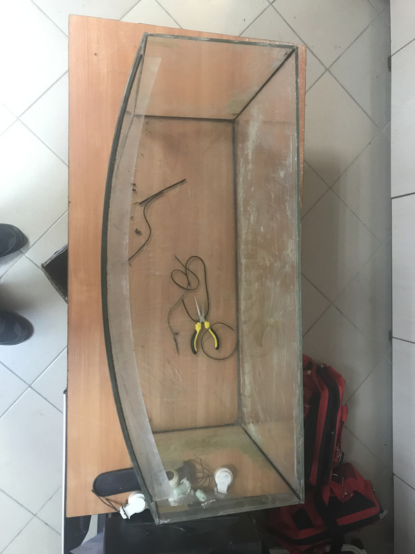 Photo 4-27-17, 10 09 13 AM (1)