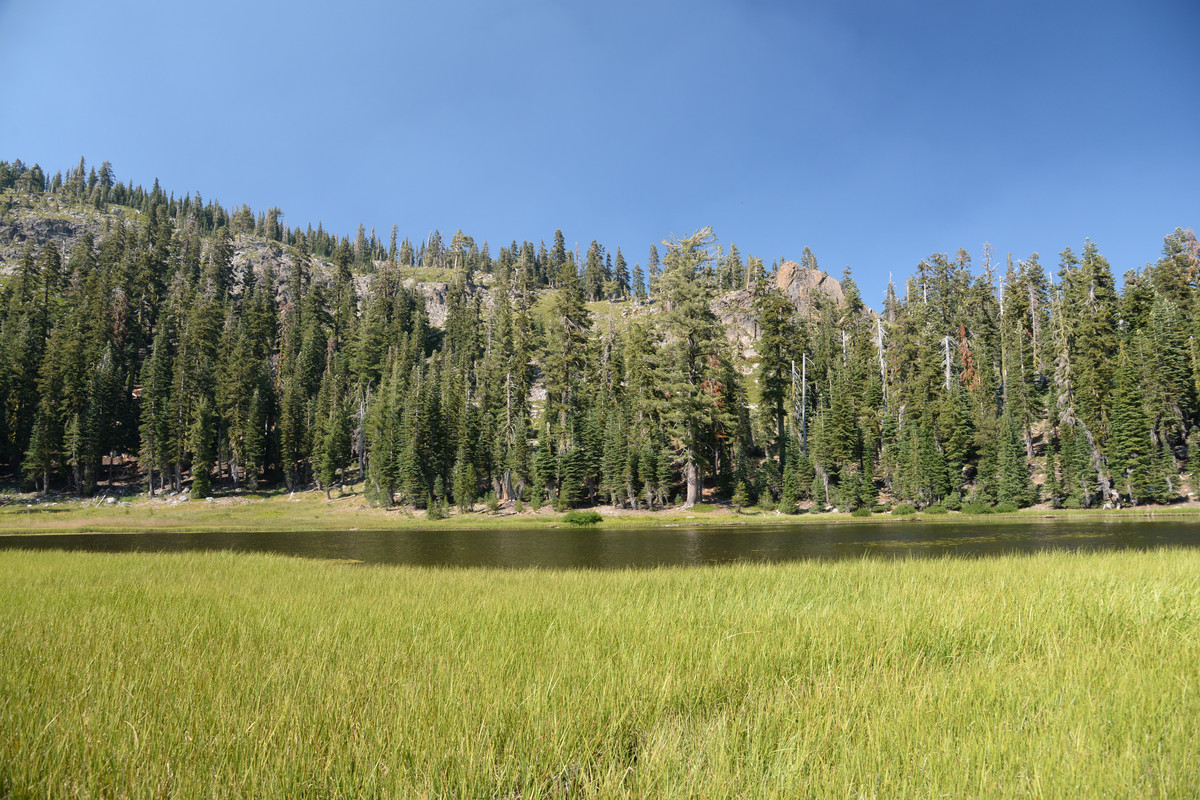 Árboles gigantes, fuegos y volcanes extintos - Oregon y California norte (2018) - Blogs de USA - Primeros días en el norte de California (10)