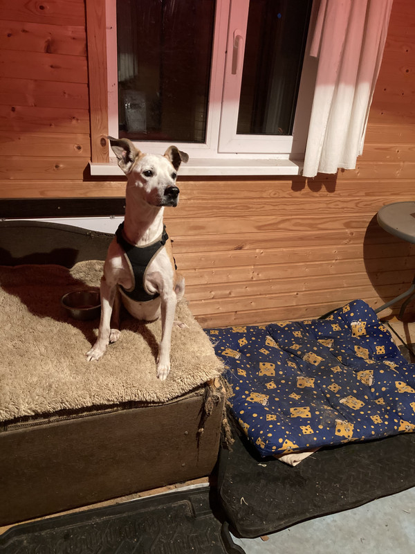 D08A3676-A9EE-4689-B648-622D19F4DEB2