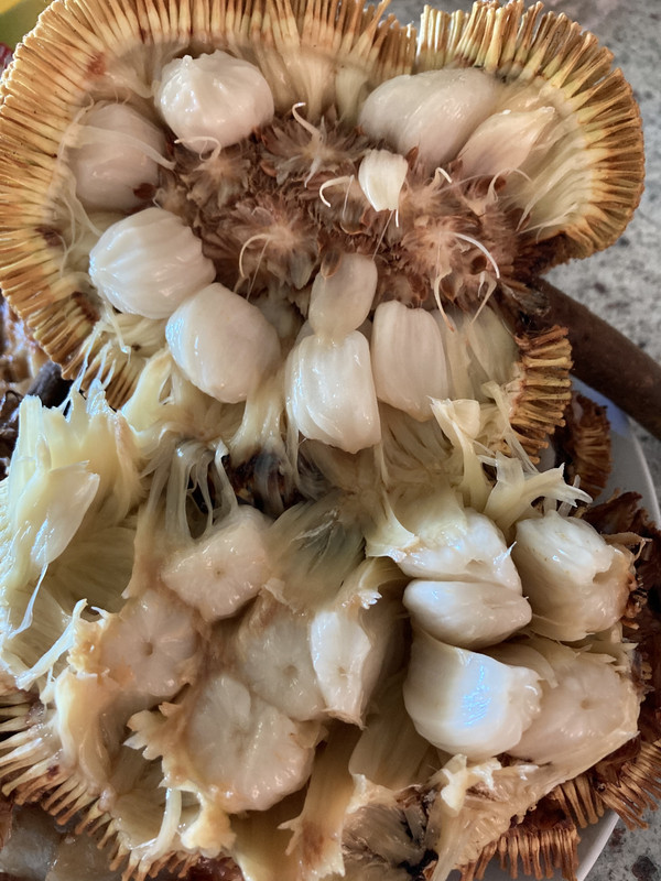 34B4C992-CCBE-49B6-A1BC-B2CF4DB65345