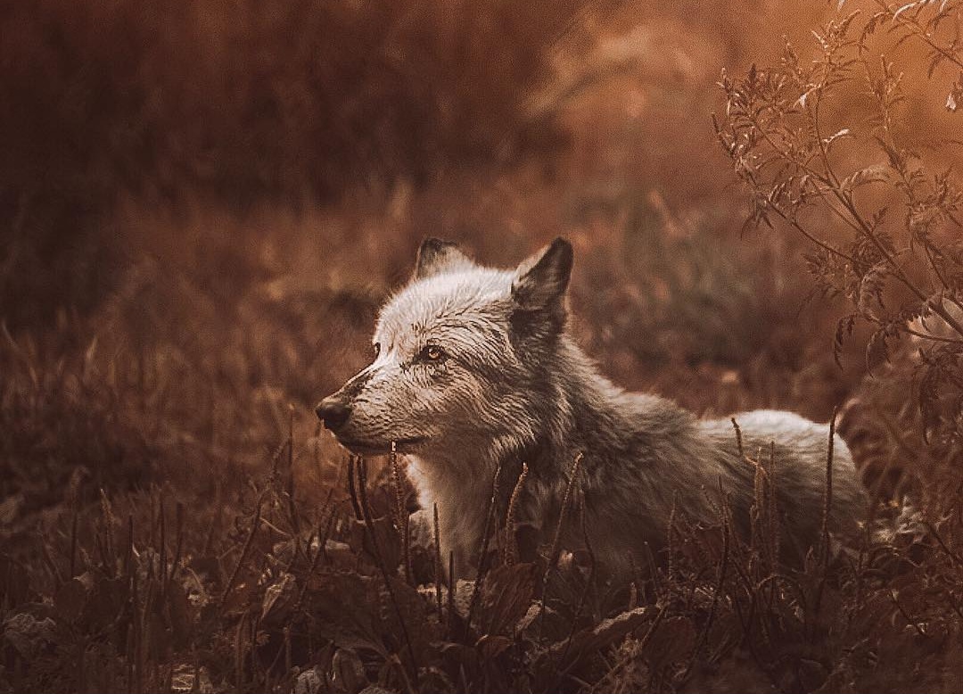 Screenshot_20231206_220854_Instagram