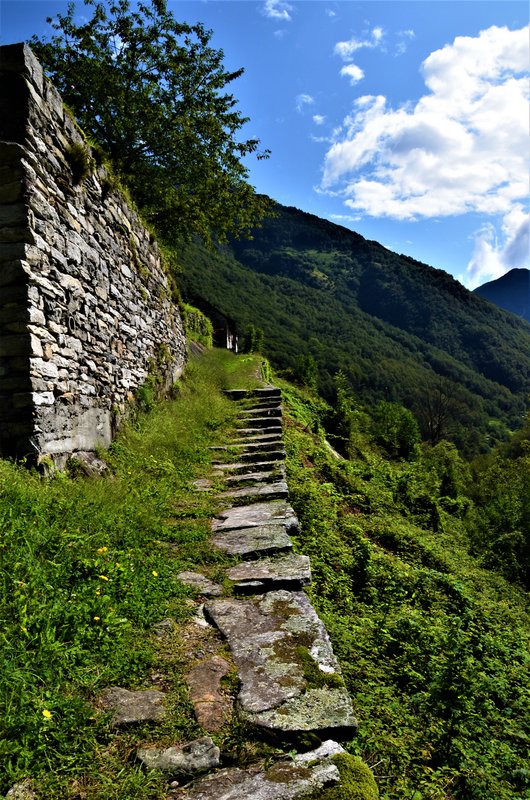 CORIPPO-8-9-2019 - Suiza y sus pueblos-2019 (40)