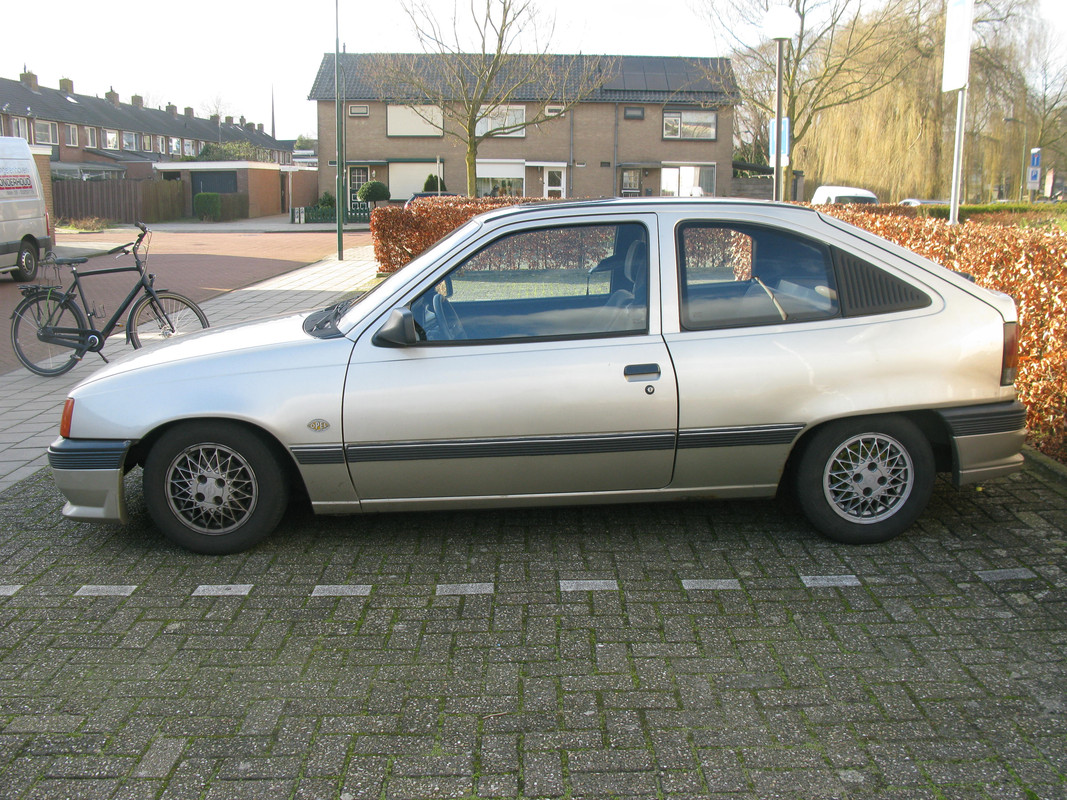 IMG-6773.jpg