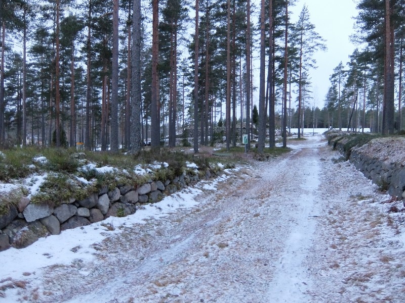 DSCF6508