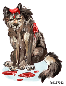 WP-splashed.png