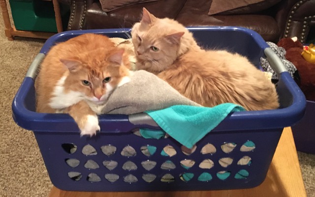 2679DC1E-540E-4931-98FB-8BDD4624DED4