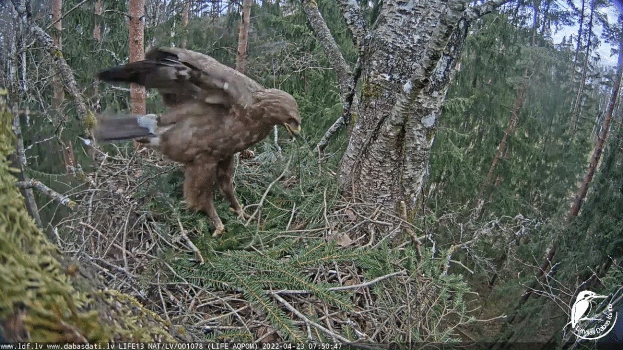 Webp.net-gifmaker (1)