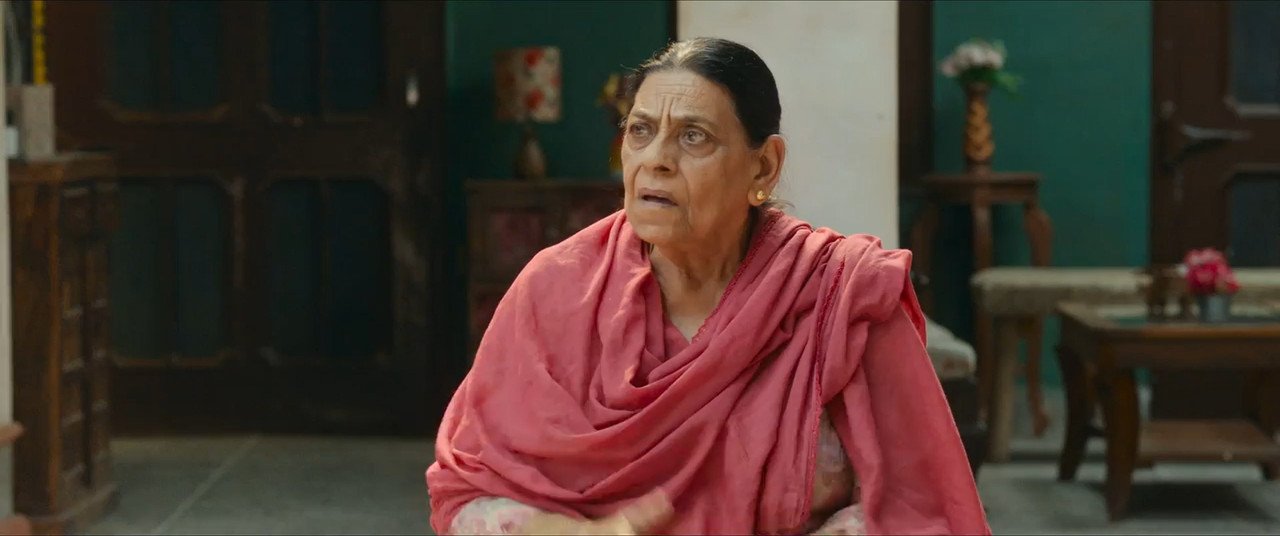 Saunkan Saunkanay 2 2025 WebRip [Punjabi] 480p 720p ESub Screenshot