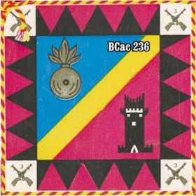 BCac236