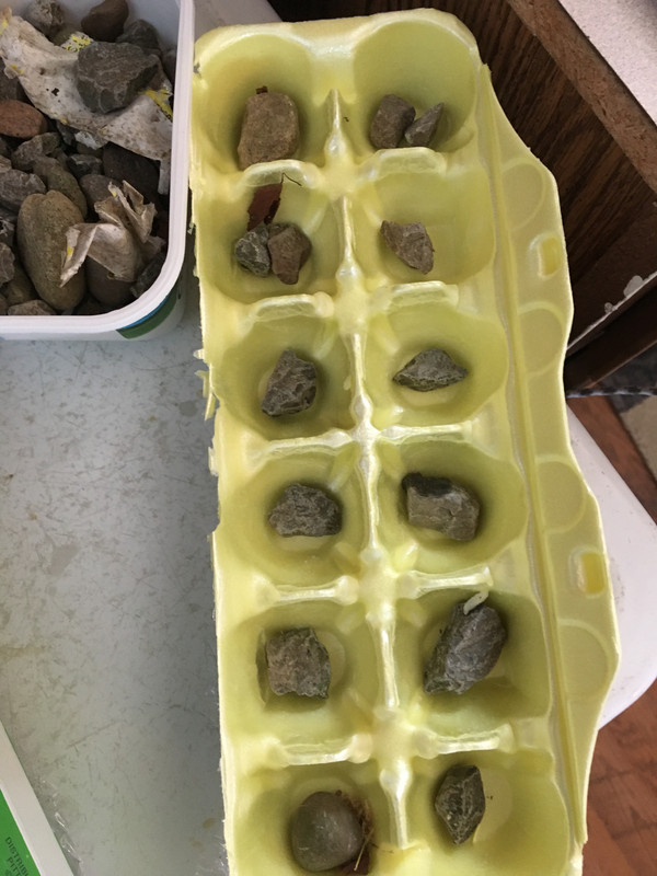 7B374F85-7E74-4157-8680-3A623A5454D1