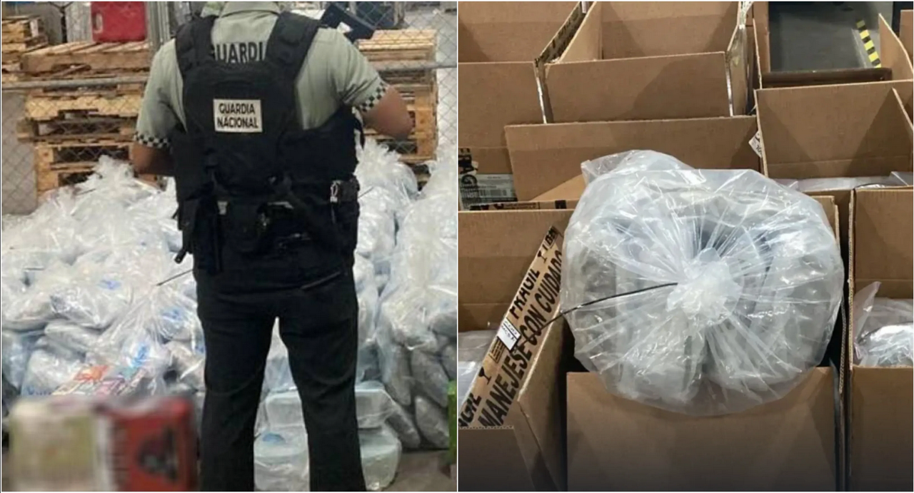 Incauta Guardia Nacional 598 kilos de marihuana en el aeropuerto de Guadalajara