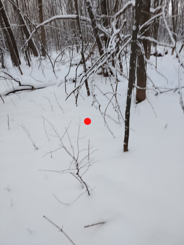 IMG 20251228 013000 272