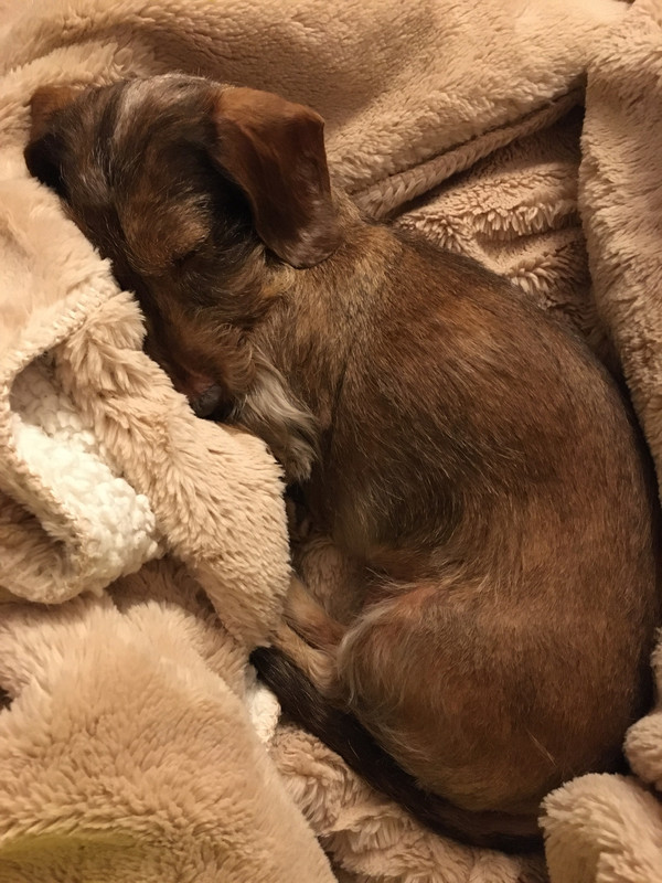 [Image: 0-EC5-F555-B9-C7-403-C-9-CC3-1-A1-B66753-DE8.jpg]