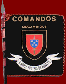 BCmds-M-vm