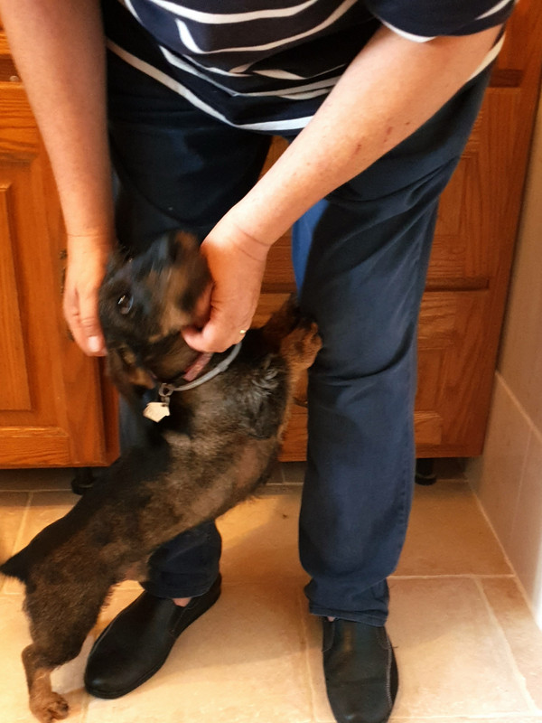 [Image: 20210727-213353.jpg]