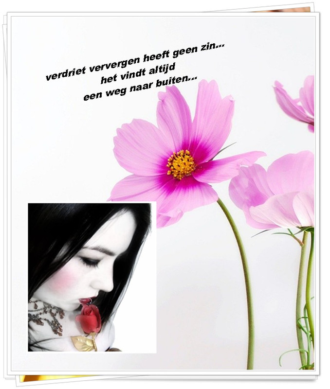 Klik op de afbeelding om de link te volgen