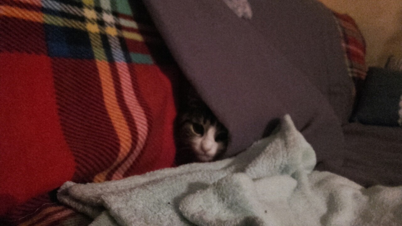 C527894C-8984-4012-8A2A-B35BDA4B600C