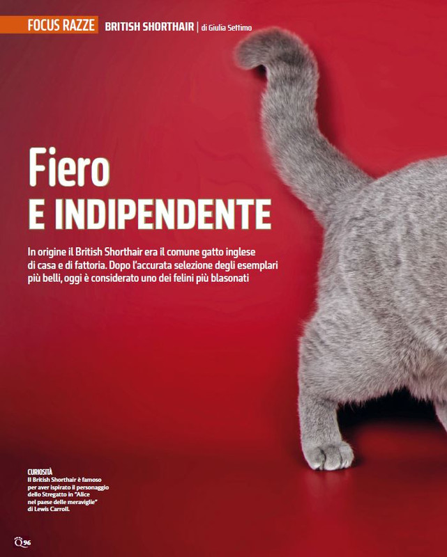 QuattroZampe Lug 2024 (5)