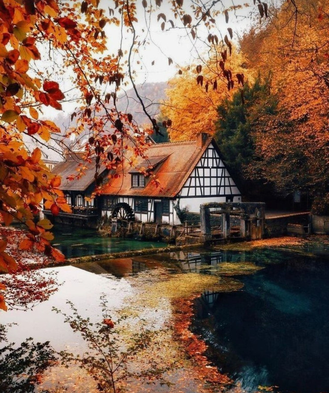 Screenshot_20240404_214814_Pinterest