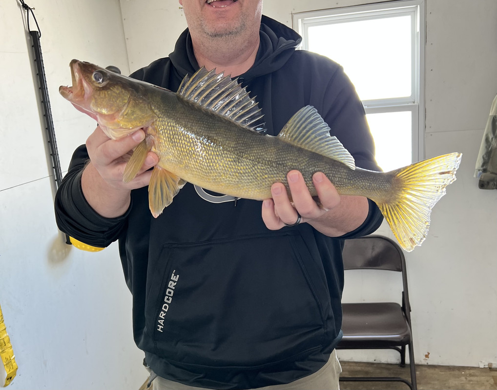 9C874DF7-7B94-4C1A-9DDC-6E63D5D6B5ED