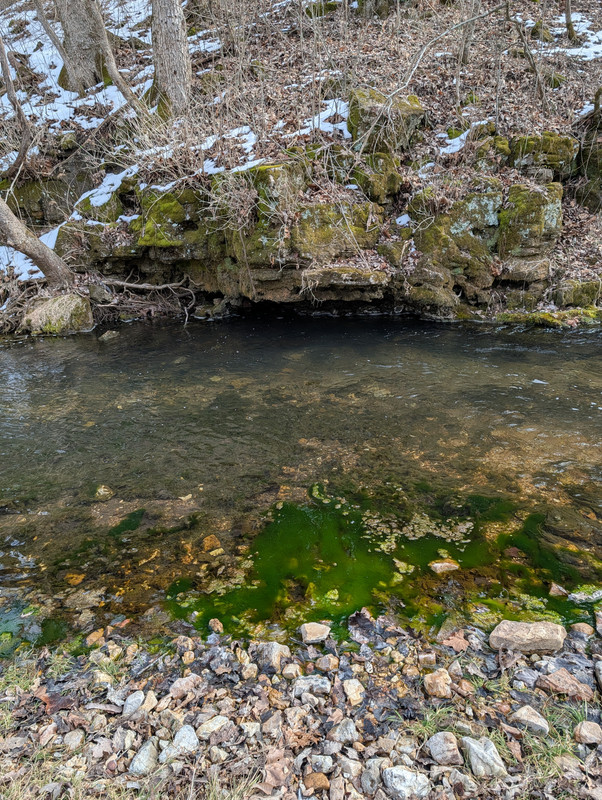 PXL 20260205 175253742 MP