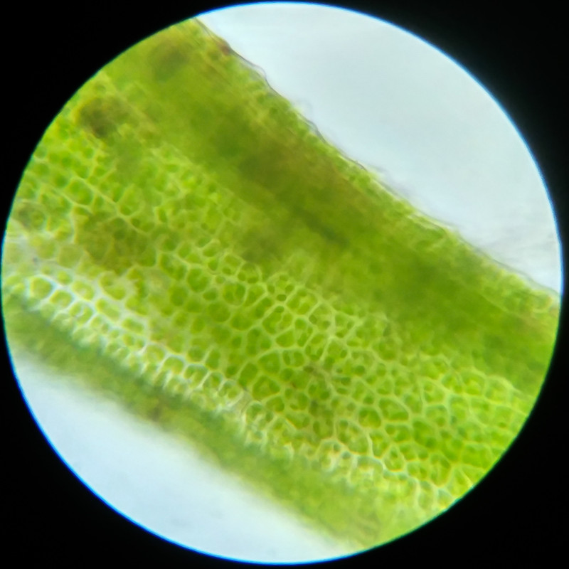 IMG 20250617 124005 HDR