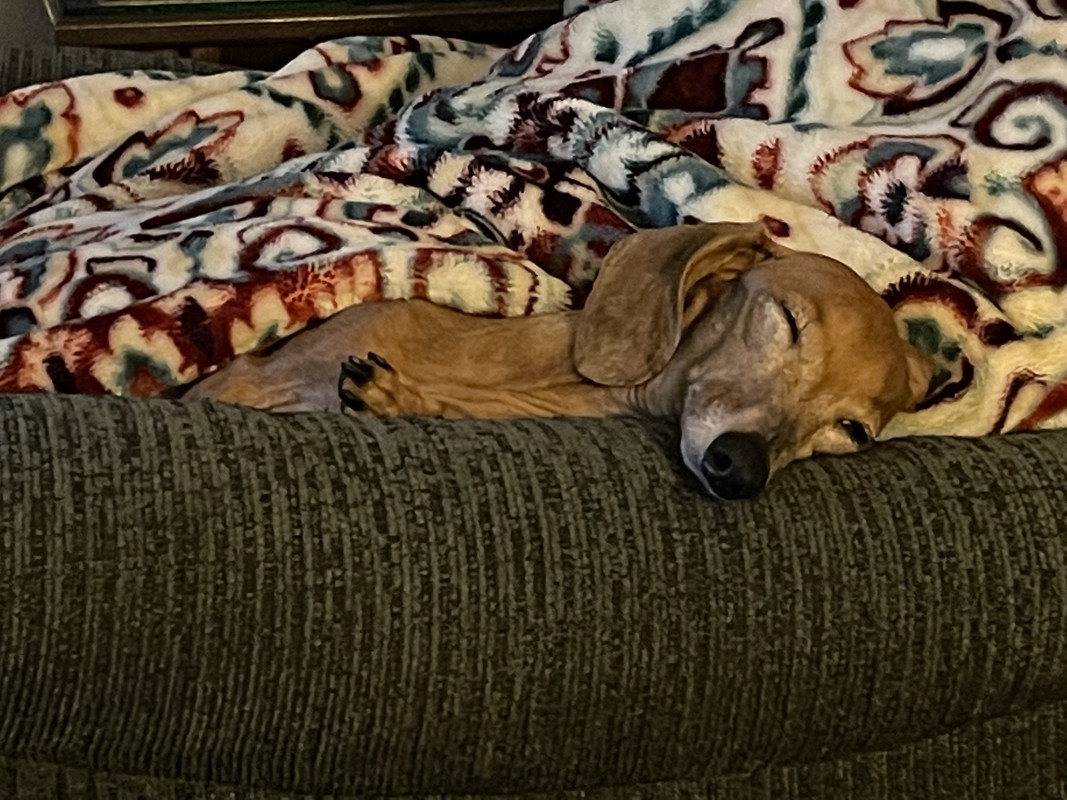 693FB616-258A-4749-8291-D8EBC4C06817