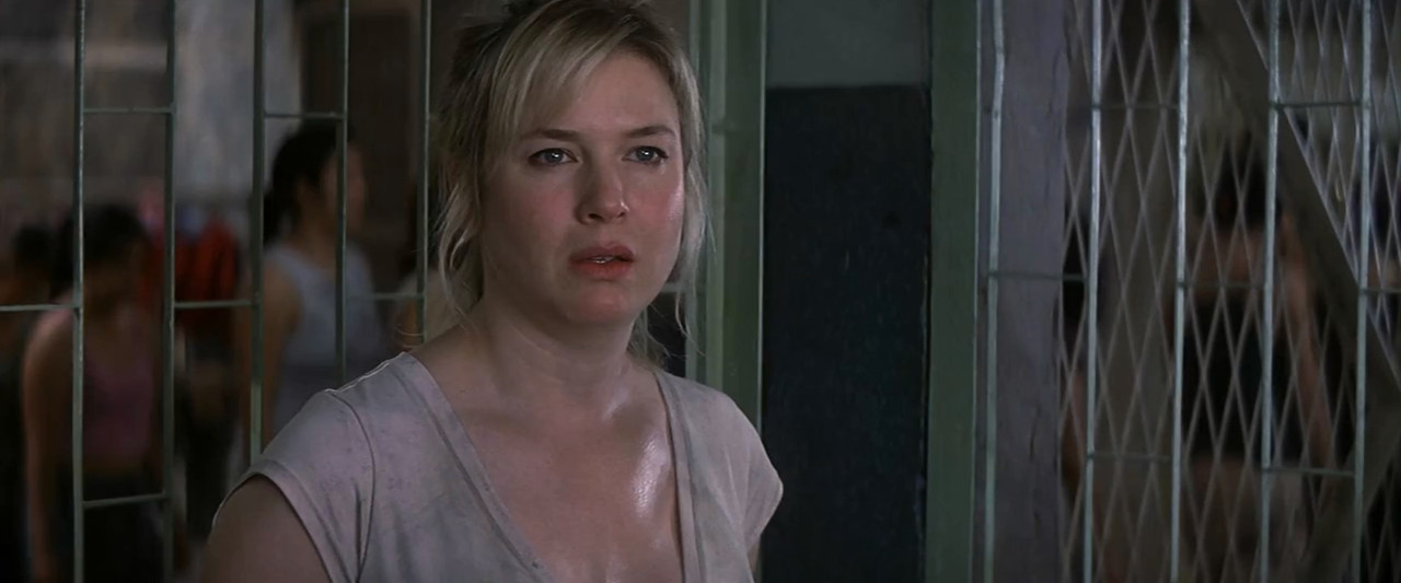 Bridget Jones: The Edge of Reason 2004 BluRay [Hindi + English] 480p, 720p ESub Screenshot