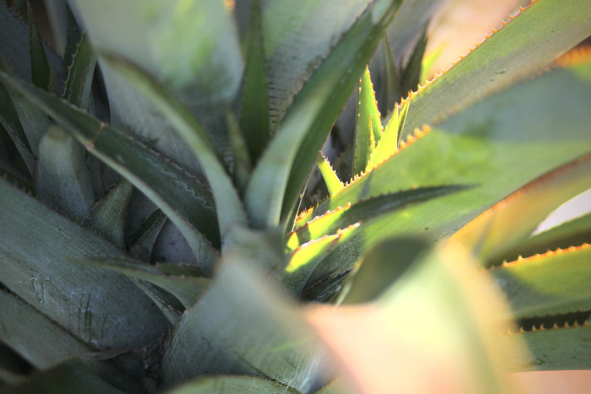 D7CCED9A-5743-4B12-B6A6-716207C995E1