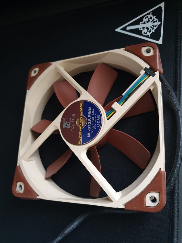 WhatsApp Image 2021-05-03 at 10.38.41 (1)